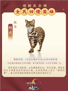 天龙八部私服天工精华